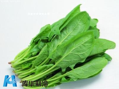 菠菜冷庫建造需要符合什么冷藏方法