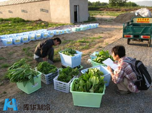 蔬菜保鮮冷庫(kù)